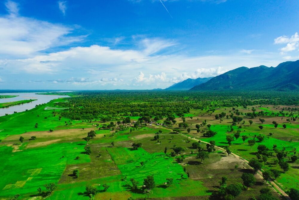 Faro National Park
