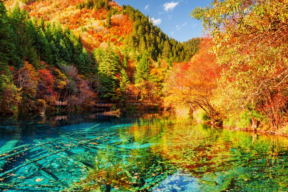 Jiuzhaigou National Park Five FLower Lake with fall foliage
