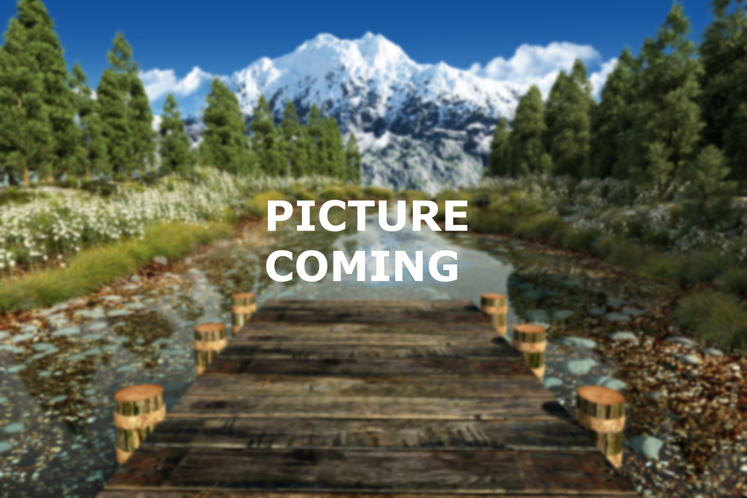 Picture Coming