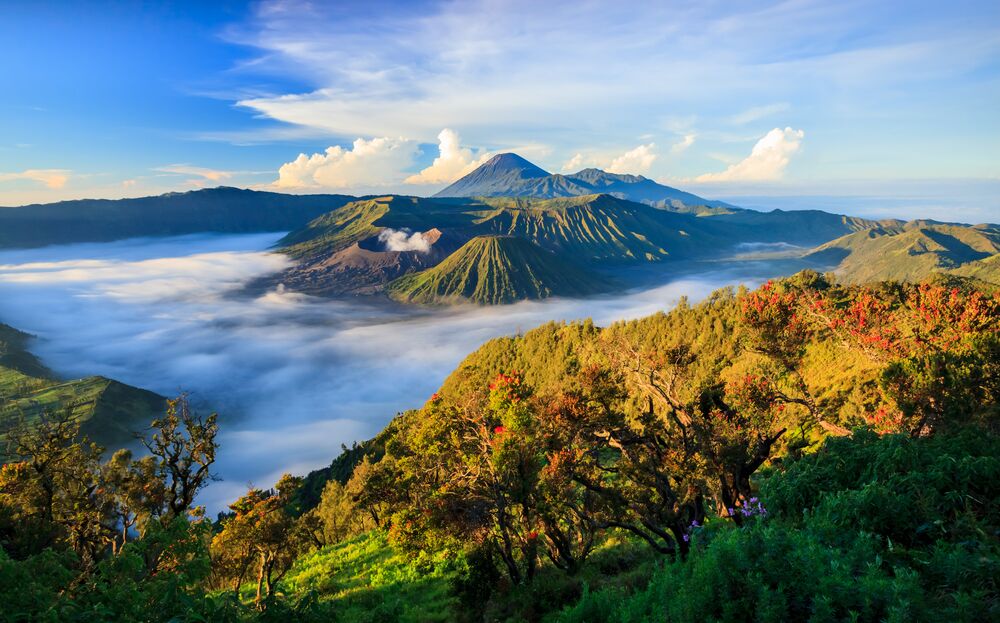 Bromo Tengger Semeru National Park